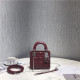 DIOR 디올 레이디백 미니 D3307-3