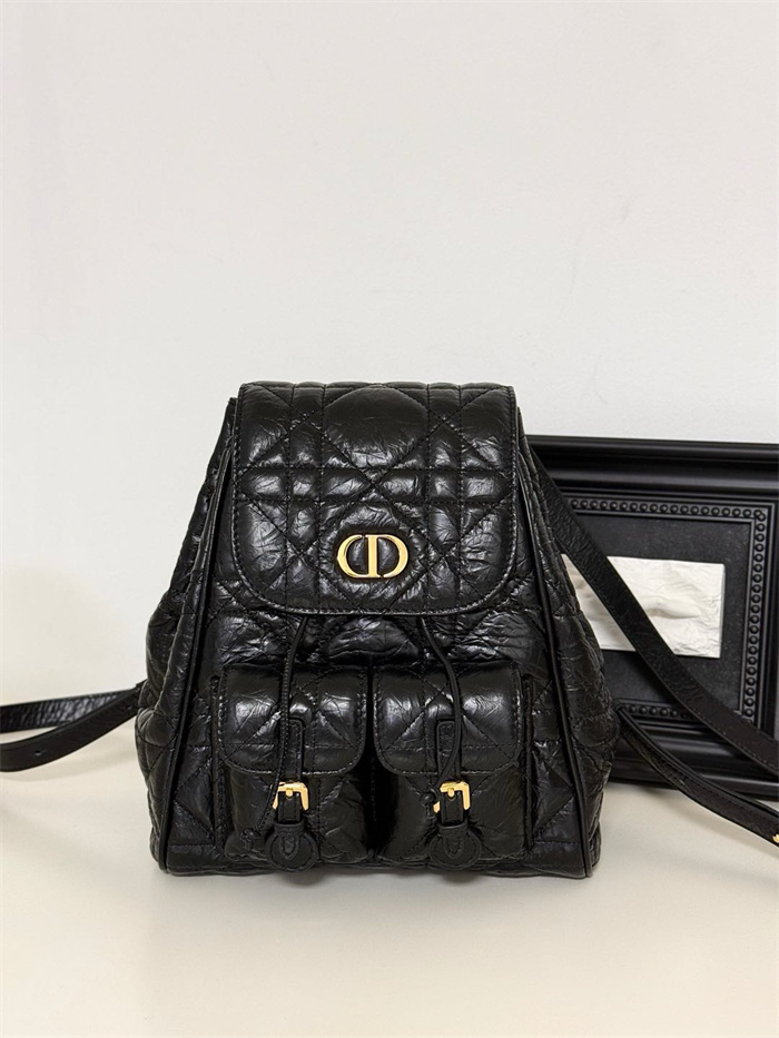 DIOR 디올 백팩 D66370